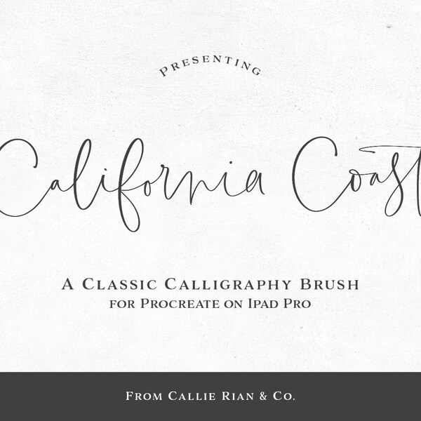 California Coast Procreate Brush: handschriftborstel (pdf-gids)