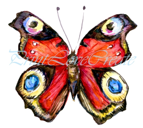 Butterfly Png Watercolor Butterfly Print Red Butterfly Art Etsy