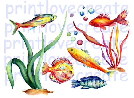Nautical Clip Art Fish Clip Art Seaweed Clip Art Under Sea Etsy