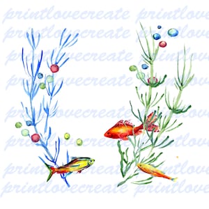Impression d’art de poisson Clip art de poisson Conception de poisson Poisson tropical Poisson imprimable Clip art nautique Algues clipart Plantes sous-marines Clip art sous-marin