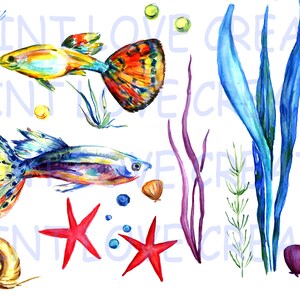 ユニークにデザインされたカラフルな魚の海の生物の要素水彩手描きの印刷可能な海洋クリップアート