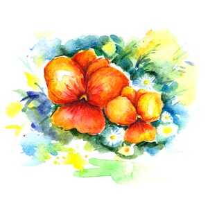 Orange Stiefmütterchen-Blumen-Aquarell-Design mit transparentem Hintergrund herunterladbarer Druck