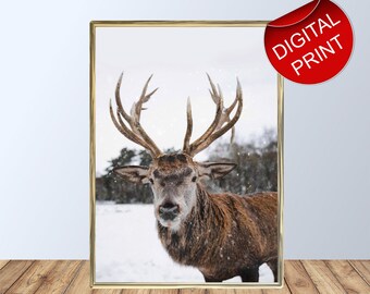 Deer Antlers Animal Print Digital Download. Woodland nursery animal wall art christmas reindeer instant download nature prints poster.