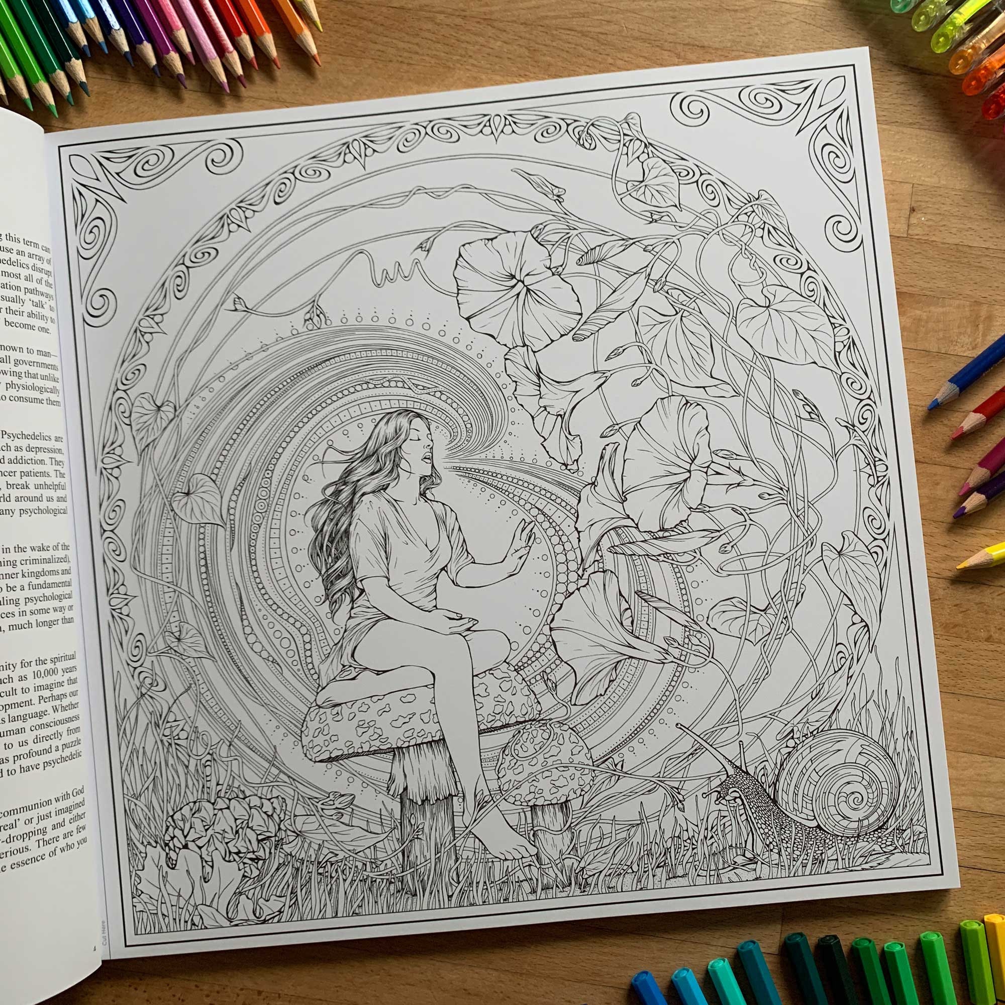 Psychedelic Colouring & Guide Book Adult Coloring Stoner - Etsy