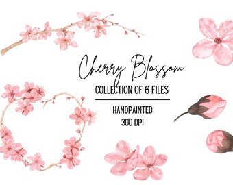 Watercolor Cherry Blossom Clipart