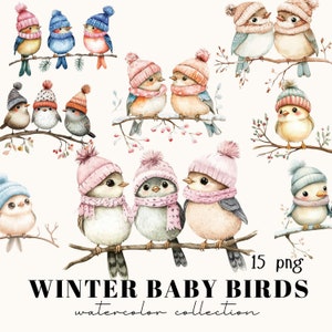Winter Birds Watercolor, Digital Clipart, Clipart Bundle, Scrapbook Images, Bird Clipart