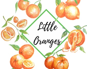 Watercolor Orange Clipart, Fruit Clipart, Orange PNG Bundle, Watercolour Citrus Wreath, Orange Flowers, Commercial Use, Instant Download
