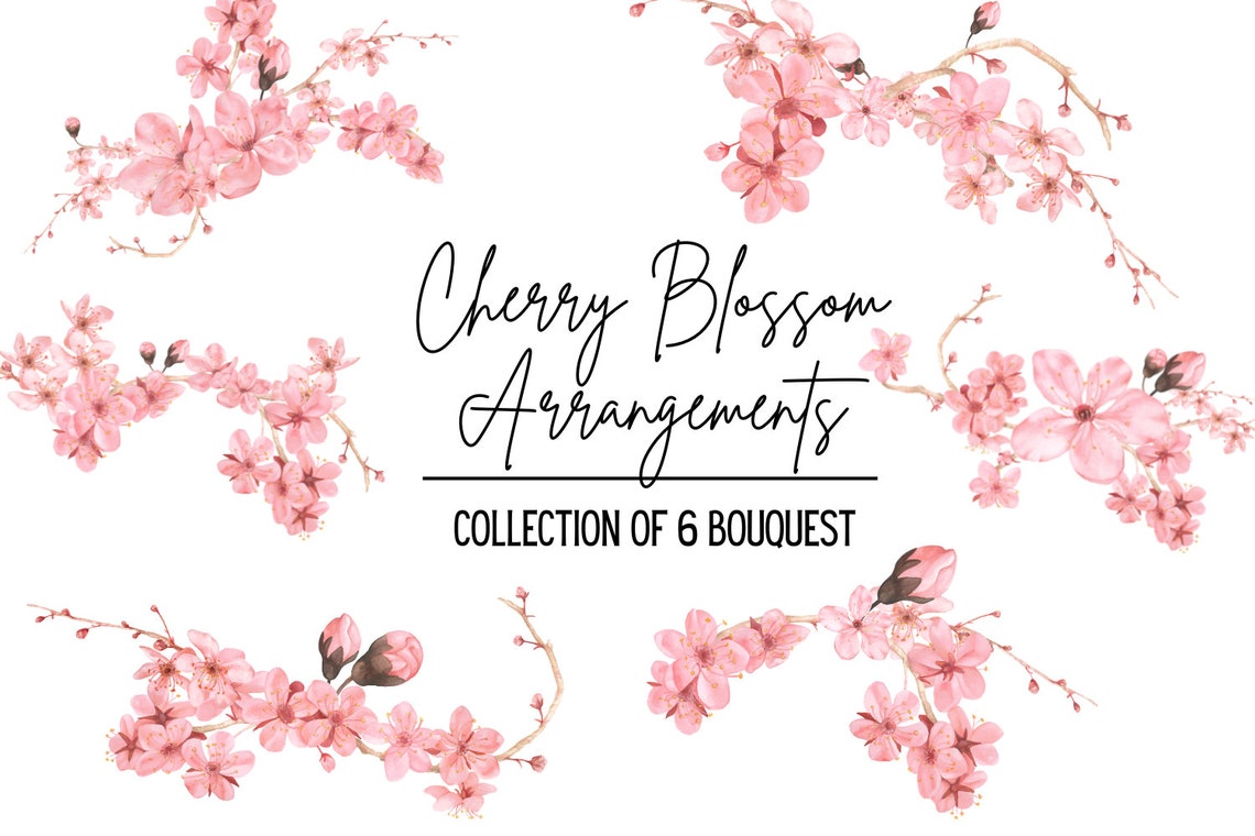 Watercolor Cherry Blossom Bouquets Cherry Arrangements Etsy