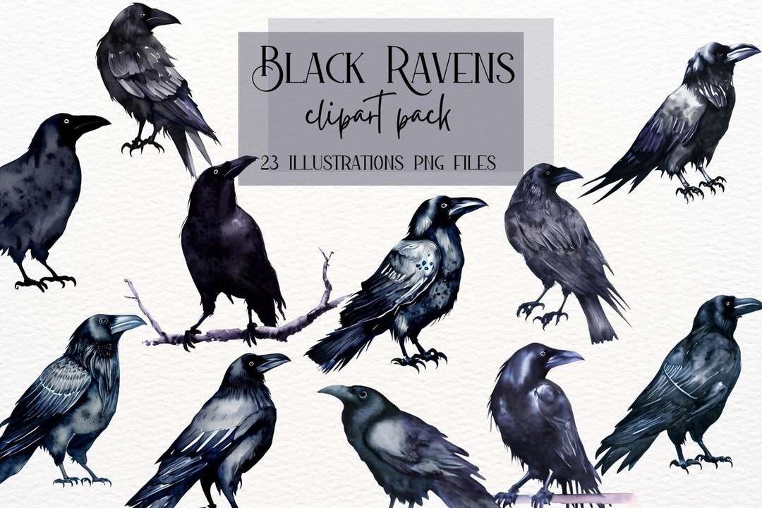 Raven Clip Majestic Ravens Clipart, Black Raven Clipart, Black Crow, Gothic Ravens ...