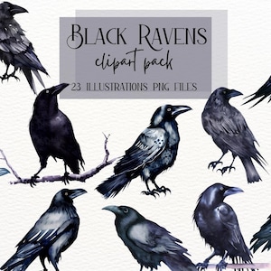 Majestic Ravens Clipart, Black Raven Clipart, Black Crow, Gothic Ravens, Instant Download Png Files, High-Quality