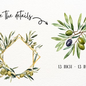 Watercolor Olive Branch Clipart, Rustic Greenery Wedding Clipart, Logo ...