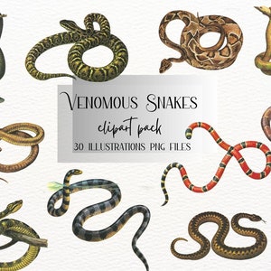 30 giftige vintage slangencollectie