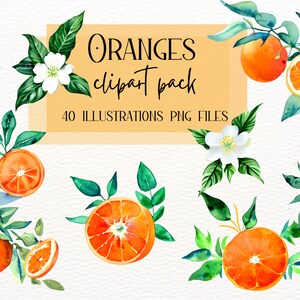 Orange Clipart PNG | Watercolor Oranges & Blossoms | Summer Fruit Clip Art