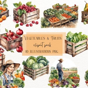 Imágenes prediseñadas de verduras en acuarela, decoración de cocina, imágenes prediseñadas de jardinería, paquete PNG