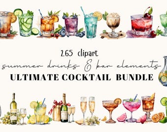 Cocktail Clipart Bundle: 265 Drink Illustrationen PNG Digital Download