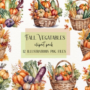 Légumes d'automne dans un panier, jardin d'automne, aquarelle de légumes, clipart végétarien, graphique d'aliments sains