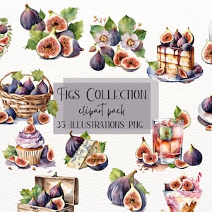 Watercolor Fig Clipart, Figs Watercolour Clipart Bundle, Summer Fruit Food Recipe Clipart