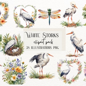 White Stork Clipart - 38 PNG Bird Illustrations, Baby Shower & Nursery Decor, Instant Download