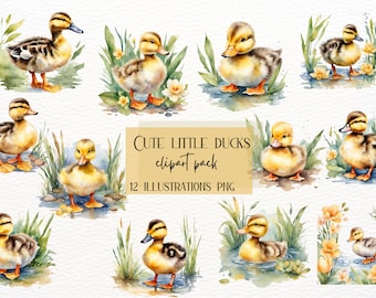 Watercolor Duckling Clipart | Baby Shower Illustrations (Instant Download)