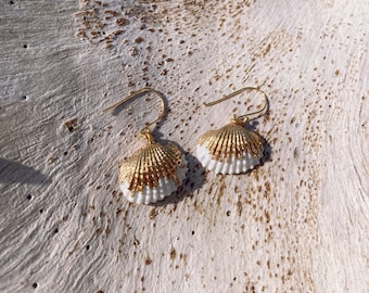 White Cockle Sea Shell, 18k Gold Plated Earrings, Minimal Earrings, Gift for her