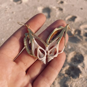 White Gold dipped Conch shell earrings