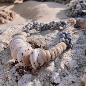 Vintage Papua New Guinea Conus Shell & Seed Statement Necklace - Tribal Lumi Cowrie Jewelry