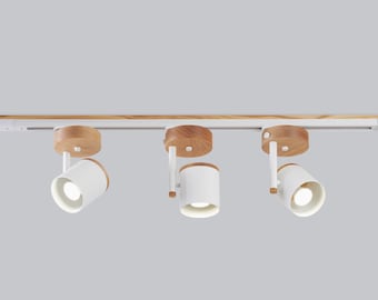 Ceiling light Track lighting  Industrial  lighting