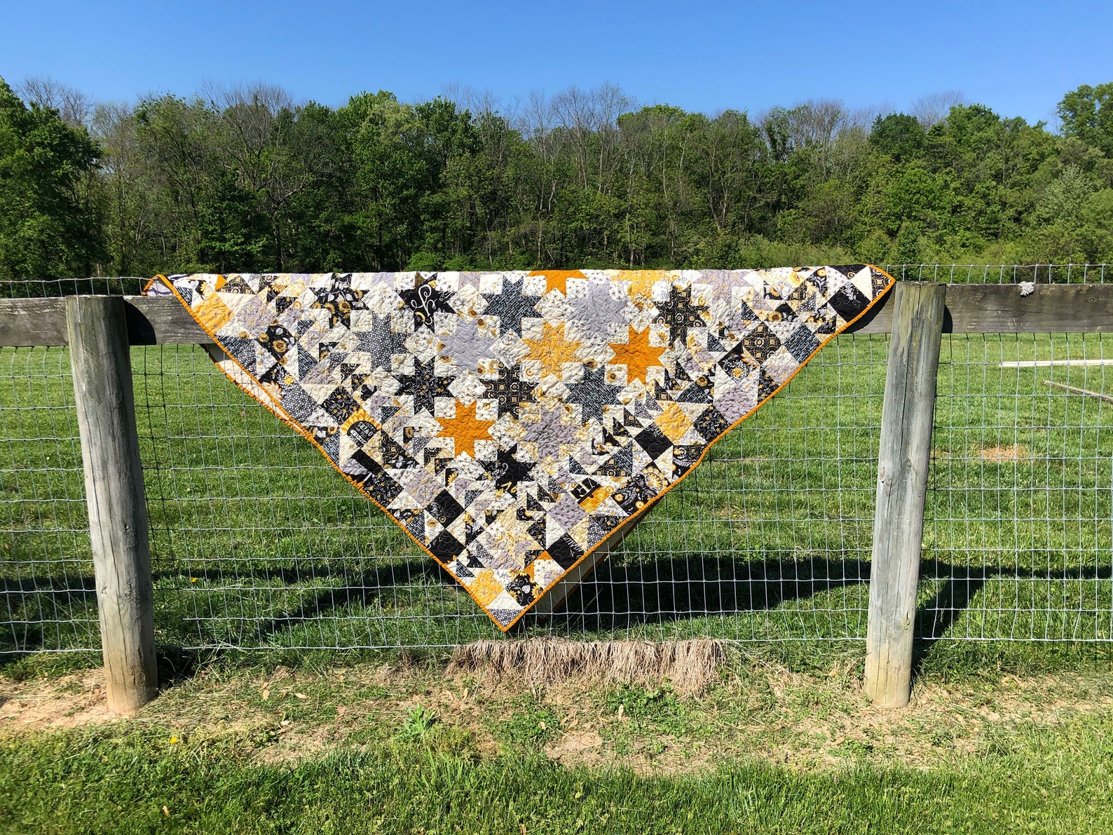 Bee Grateful Quilt Blessed are the Bees 67 x | Etsy