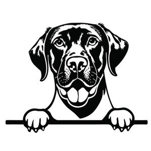 PEEKING GOLDEN RETRIEVER Svg, Peeking Golden Retriever Clipart, Peeking Golden Retriever Svg Files For Cricut