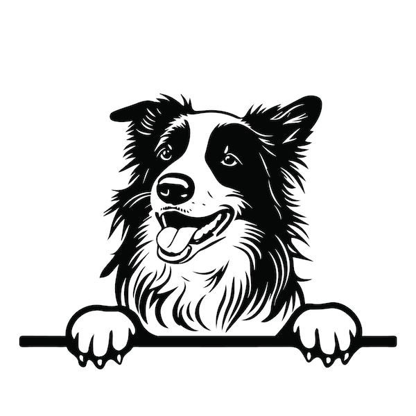 SPICKEN BORDER COLLIE Clipart, spähen Border Collie Clipart, spähen Border Collie Hund SVG-Dateien für Cricut