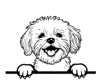 PEEKING MALTESE SVG, Peeking Maltese Clipart, Peeking Maltese Pliki SVG dla Cricut