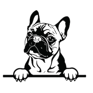 PEEKING FRANZÖSISCHE BULLDOGGE svg, peeking französische Bulldogge Clipart, peeking französische Bulldogge svg-Dateien für Cricut