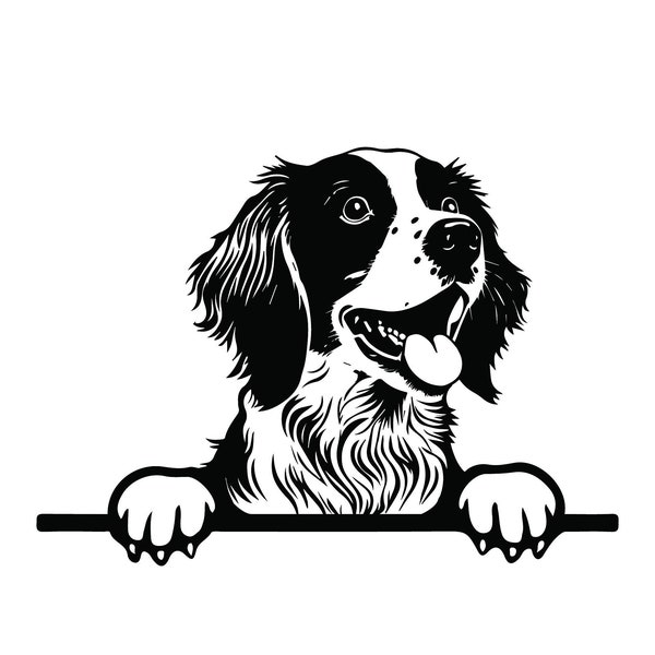 PEEKING BRITTANY SPANIEL Svg, Peeking Brittany Spaniel Clipart, Peeking Brittany Spaniel Dog Svg Files For Cricut