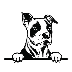 PEEKING AMSTAFF Svg, Peeking Amstaff Clipart, Peeking Amstaff Svg Files For Cricut