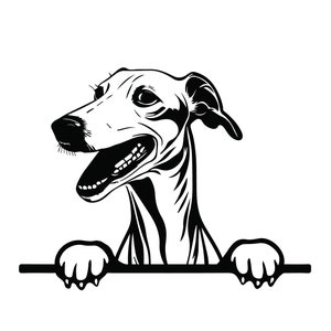 Sbirciando Greyhound SVG, Sbirciando Greyhound Clipart, Sbirciando Greyhound Svg Files per Cricut