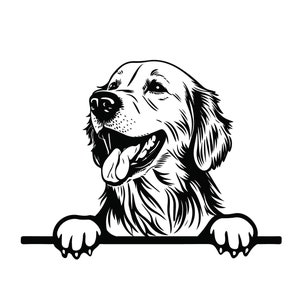 GEUREN GOLDEN RETRIEVER Svg, gluren Golden Retriever Clipart, gluren Golden Retriever Svg-bestanden voor Cricut