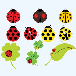 File SVG di coccinella, coccinella file Svg per Cricut, Clipart coccinella, coccinella su foglia file Svg