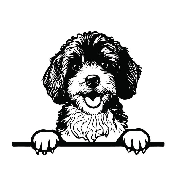 PEEKING CAVAPOO SVG, Peeking Cavapoo Clipart, Peeking Cavapoo Svg Files For Cricut