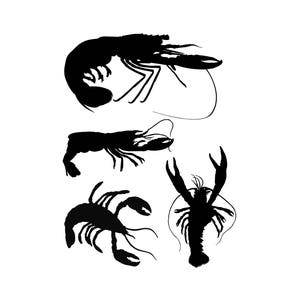 May include: Silhouettes of four crayfish, all facing different directions. The crayfish are black against a white background.