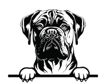 PEEKING BULLMASTIFF SVG, Peeking Bullmastiff Clipart, Peeking Bullmastiff Svg Files For Cricut