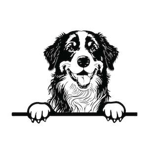 PEEEKING BERNESE MOUNTAIN SVG, PEEEKING BERNESE BERG Clipart, PEEEKING Bernese Berg SVG Für Cricut