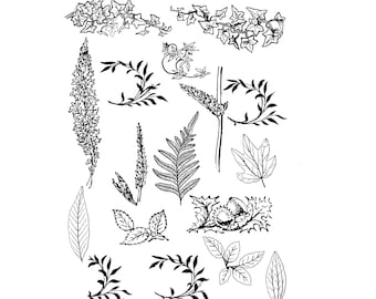 Branch, Branch SVG, Botanical SVG, SVG, Cricut, Silhouette Cameo, ScanNCut, Design, Scrapbook, Svg cut files, Svg files, leaf svg, png