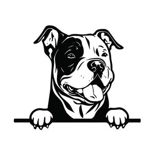 Sbirciando American Bully Svg, Sbirciando American Bully Clipart, Sbirciando American Bully Svg Files per Cricut