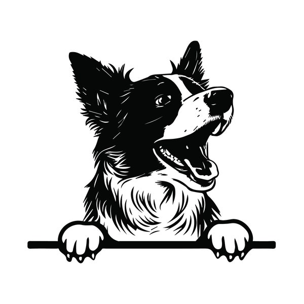 PEEKING BORDER COLLIE Svg, Peeking Border Collie Clipart, Peeking Border Collie Dog Svg Files For Cricut