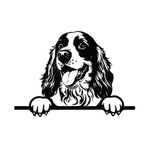 Può includere: Illustrazione in bianco e nero di un cane Springer Spaniel che sporge da una superficie con la lingua di fuori.