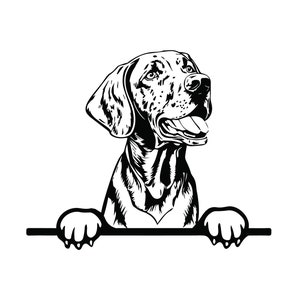 PEEKING VIZSLA SVG, Peeking Vizsla Clipart, Peeking Vizsla Svg-Dateien für Cricut