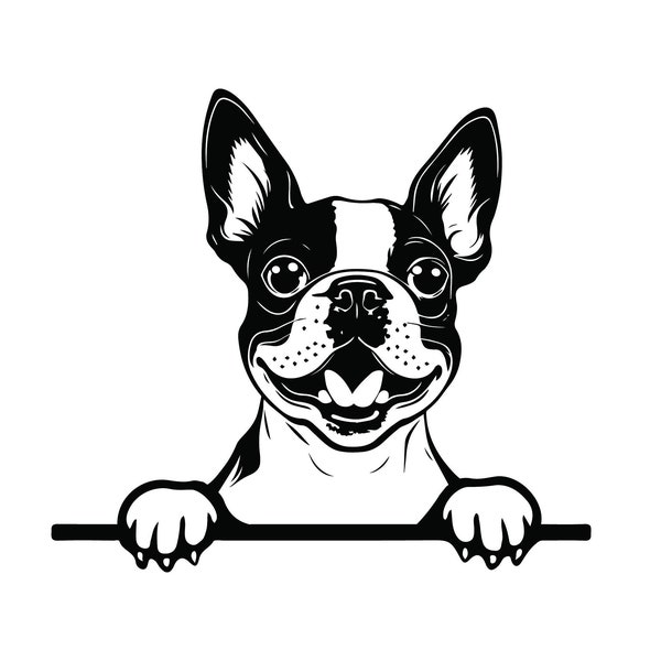 PEEKING BOSTON TERRIER Svg, Peeking Boston Terrier Clipart, Peeking Boston Terrier Dog Svg Files For Cricut