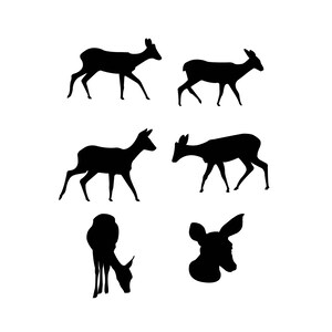 May include: Six black silhouettes of deer in various poses. The deer are facing different directions and some are standing while others are lying down.