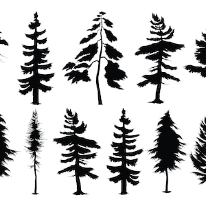 EVERGREEN PINE TREE Svg, file svg di pini sempreverdi per Cricut, file Svg di conifere, file di taglio di pini sempreverdi