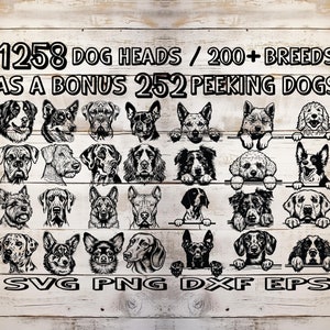 HUNDEKOPF BUNDLE, spähender Hund Kopf svg, Hunderassen svg, spähender Hund Lasergravur-Dateien für Cricut, spähender Hund Silhouette svg